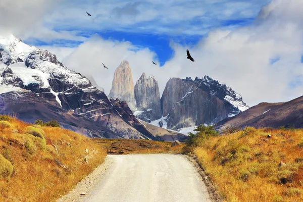 Nationalpark in Südchile — Stockfoto