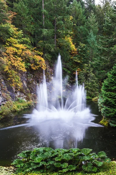 Gewaltiger Springbrunnen im wunderschönen Park — Stockfoto