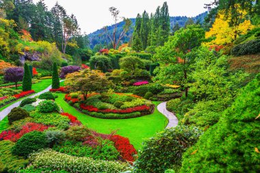 Butchart bahçeleri Vancouver Adası