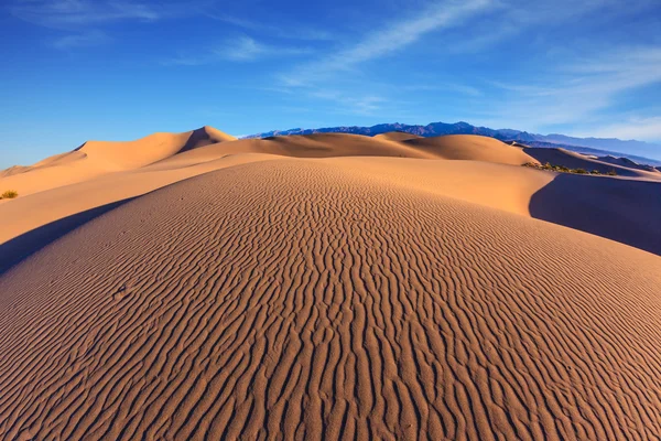 Dunes de sable plat Mesquite — Photo