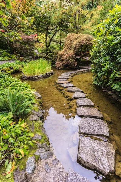 Vancouver Adası üzerinde dekoratif özel Bahçe — Stok fotoğraf