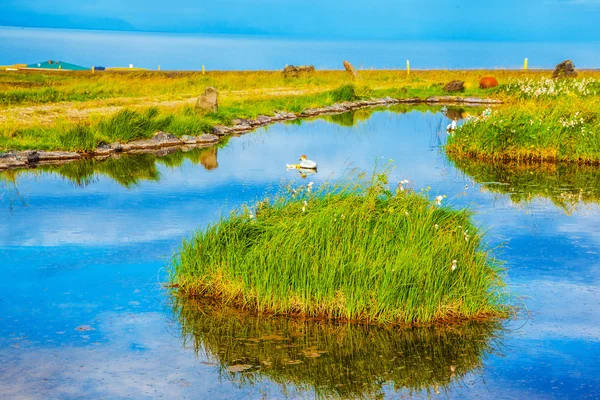 Termal su ile güzel gölet — Stok fotoğraf