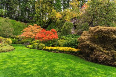 Renkli çiçek çiçek yatak