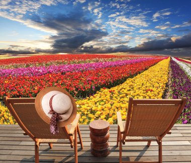 İki güverte sandalyeleri ve çiçekler