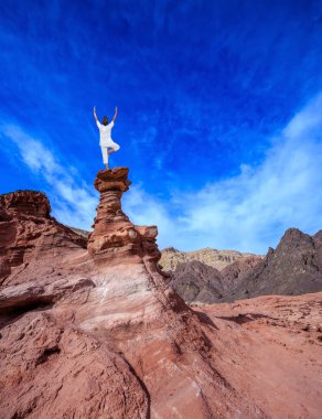 Kadın gerçekleştirmek yoga