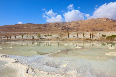 Buharlaştırılmış tuz yolundan