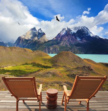 Park Torres del Paine ahşap sandalye.