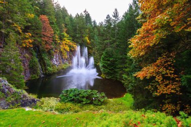 Butchart bahçeleri üzerinde Vancouver