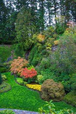 Butchart bahçeleri üzerinde Vancouver