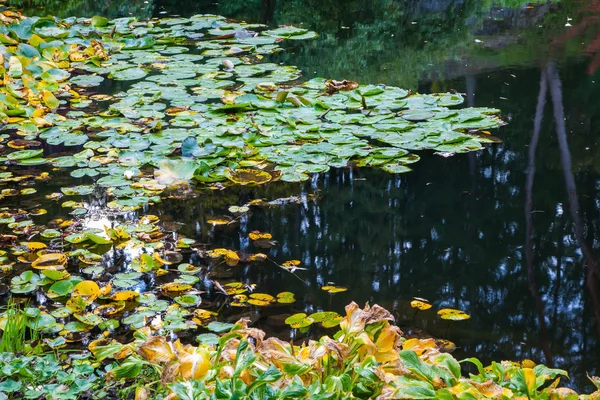 Floral park av Butchart Gardens — Stockfoto