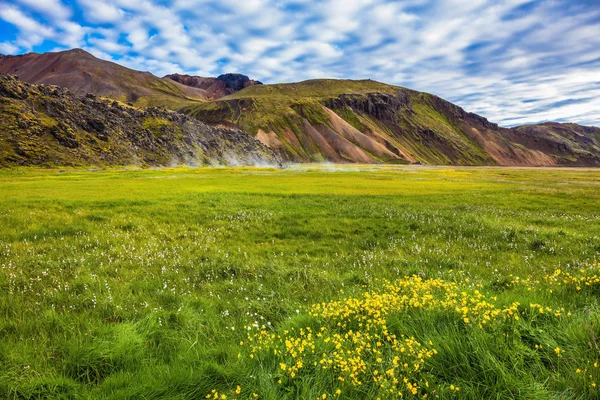 Juillet dans les montagnes de Basalt — Photo