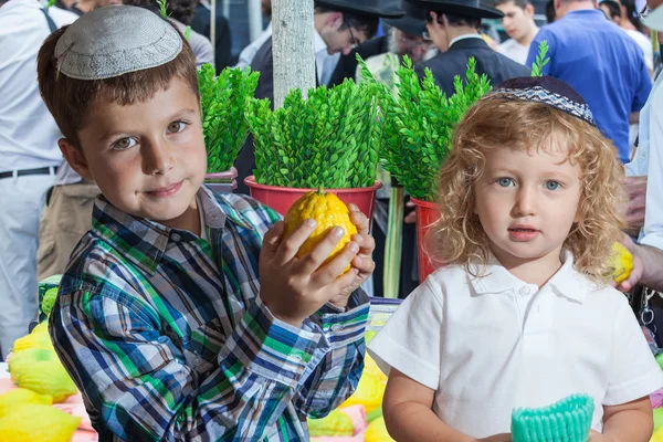 Two brothers on market — стокове фото