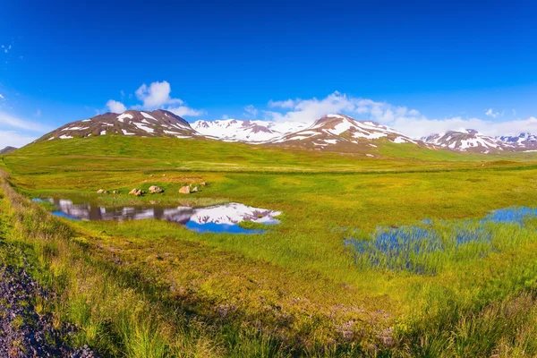 여름 아이슬란드 필드 — 스톡 사진