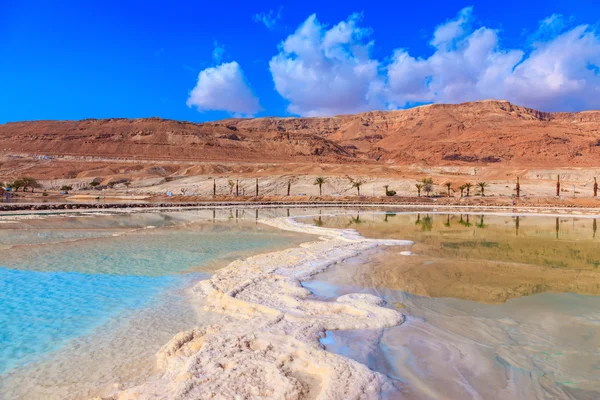Agua del Mar Muerto — Foto de Stock
