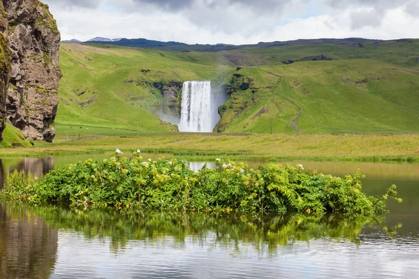 Verano Skogafoss cascada — Foto de Stock