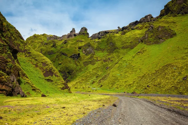 Verano florecimiento Islandia . —  Fotos de Stock