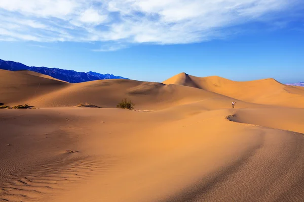 Восход солнца в пустыне Mesquite Flat — стоковое фото