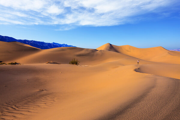 Восход солнца в пустыне Mesquite Flat
