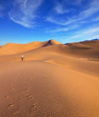 çöl Mesquite düz, ABD