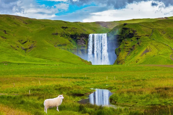 Skogafoss Καταρράκτης στην Ισλανδία — Φωτογραφία Αρχείου