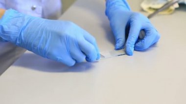 Smear hazırlanması. Bir damla kan onun cam erozyon ve cam slayt üzerinde uygulama.