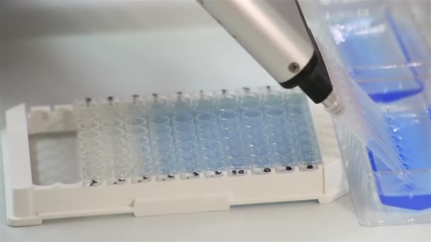 Selezione anticorpi ELISA — Video Stock