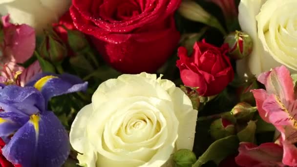 Beautiful bouquet roses, iris and alstroemeria rotates. — Stock Video