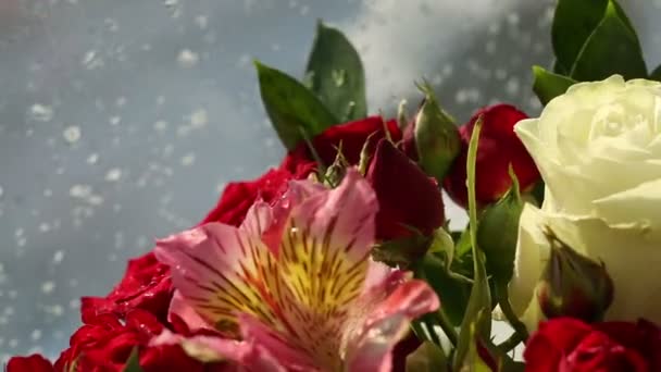 Beautiful bouquet roses, iris and alstroemeria rotates. — Stock Video