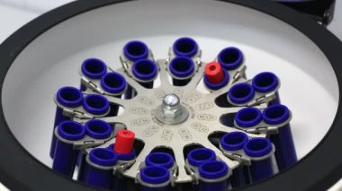 Kan tüpleri santrifüje yerleştirerek teknisyen.