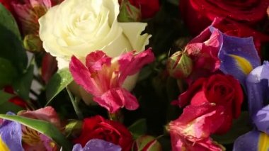 Güzel buket gül, Iris ve alstroemeria döner.