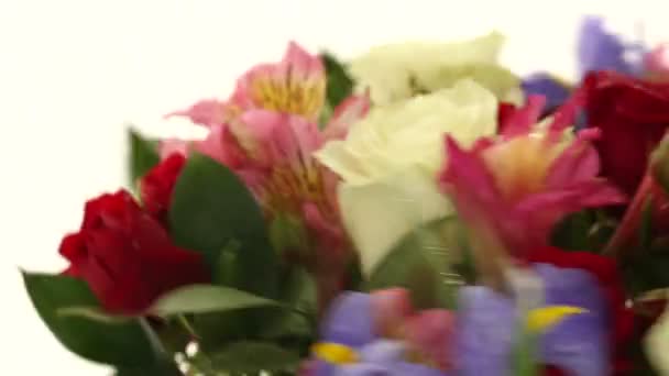 Красиві букетні троянди, іриси і альстромерії швидко обертаються . — стокове відео