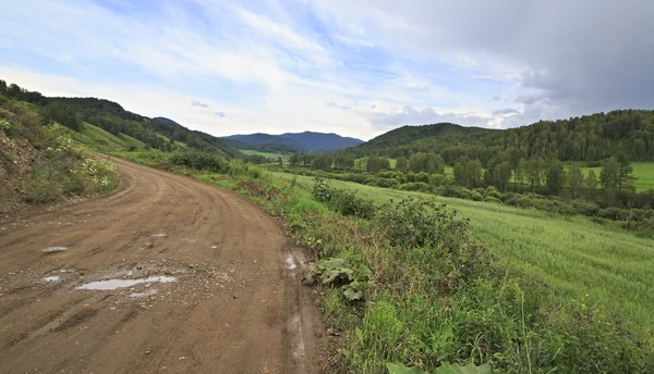 Dağlar arasında güzel yol. — Stok fotoğraf