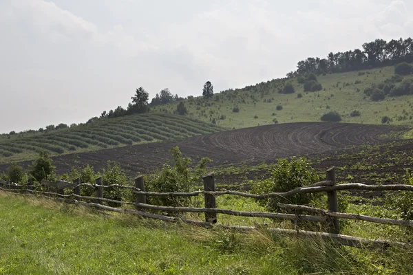 Fence made of logs and plowed field on hillside. — Stock Photo, Image