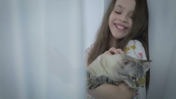 Hermosa niña se comunica suavemente con su gato amado en la ventana . — Vídeo de stock