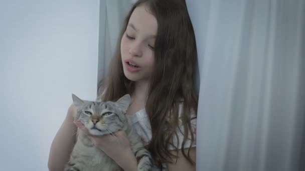 Beautiful little girl gently communicates with your loved cat at window. — Stock Video