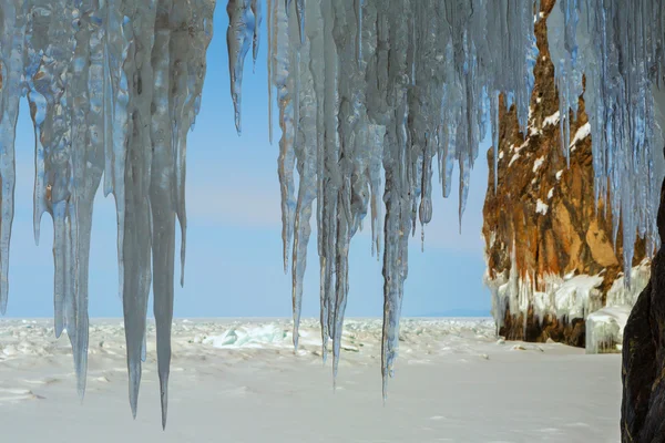 Ice gardin av istappar. — Stockfoto