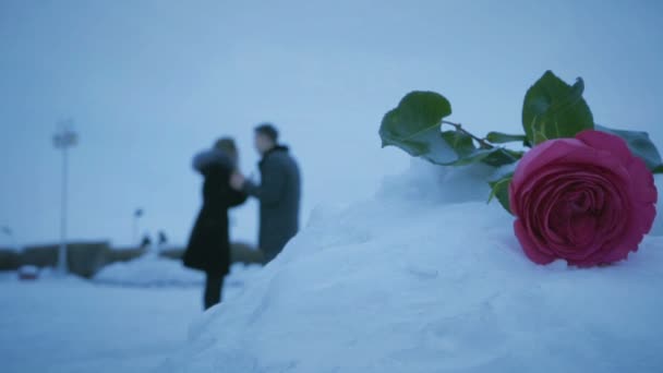 El hombre y la mujer juran sobre el fondo de rosas en la deriva de nieve . — Vídeo de stock