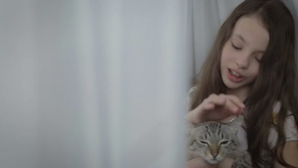 Красива маленька дівчинка ніжно спілкується з коханою кішкою у вікні . — стокове відео