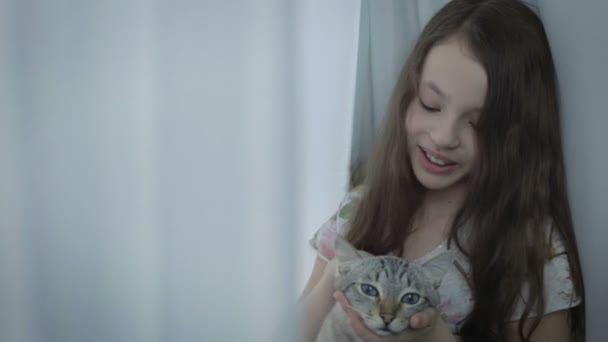 Hermosa niña se comunica suavemente con su gato amado en la ventana . — Vídeos de Stock