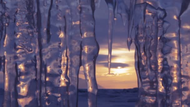 Die untergehende Sonne spiegelt sich in Eiszapfen wider. den Fokus verschieben. — Stockvideo