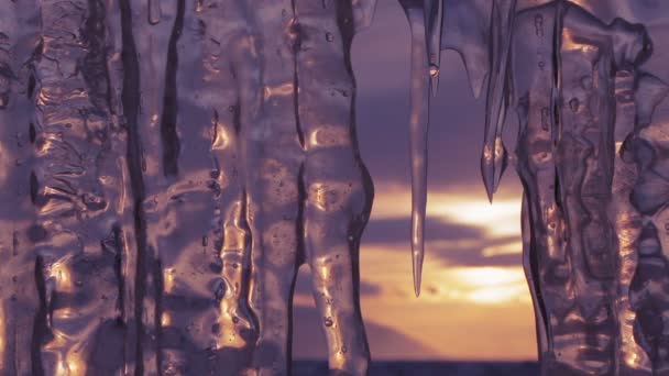 Die untergehende Sonne spiegelt sich in Eiszapfen wider. den Fokus verschieben. — Stockvideo