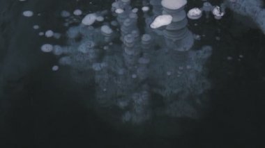 Donmuş kabarcıklar ve şeffaf buz çatlaklar.