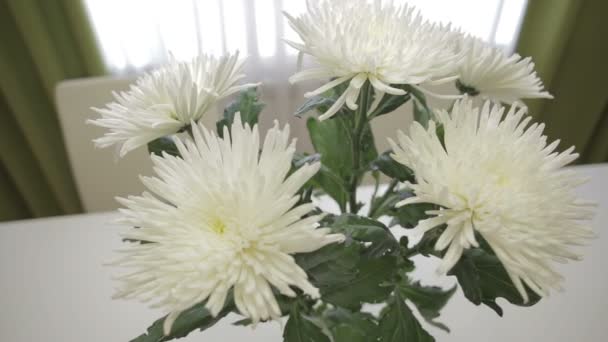 Beautiful bouquet of white chrysanthemums in home interior. — Stock Video