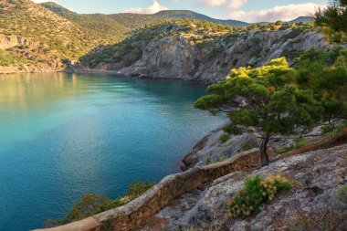 Kırım çam Trail Golitsyn Koba-Kaya tarafında üzerinde.