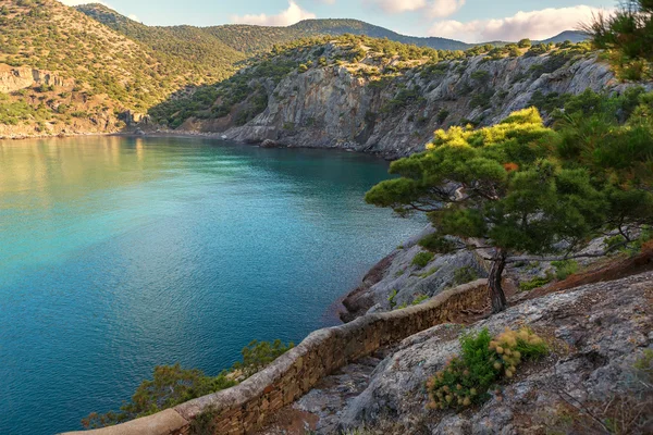 Kırım çam Trail Golitsyn Koba-Kaya tarafında üzerinde. — Stok fotoğraf