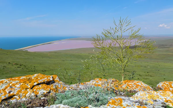 Jezioro Solne Koyashskoe Elkenskoe. Rezerwat Opuksky 'ego — Zdjęcie stockowe