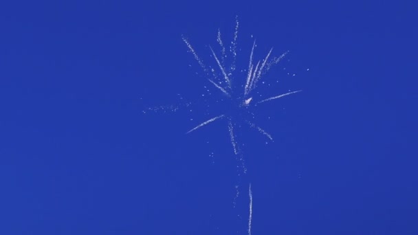 Beautiful fireworks on background of blue sky. — Stock Video