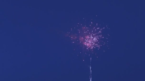 Beautiful fireworks on background of blue sky. — Stock Video