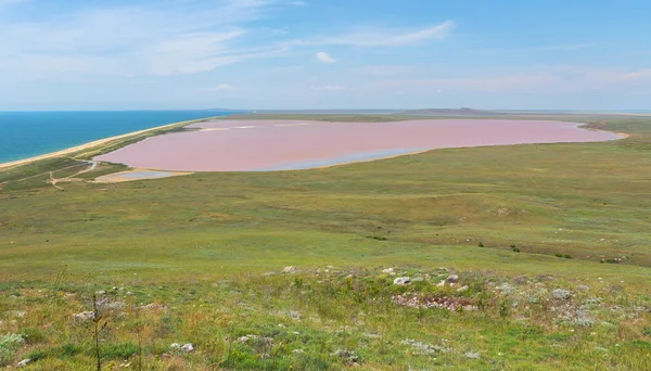 Tuz Gölü Koyashskoe Elkenskoe. Opuksky rezervi — Stok fotoğraf