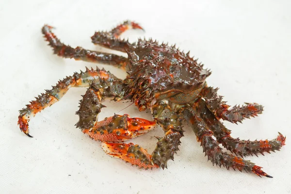 Freshly-Speared kamchatka caranguejo-rei no convés do iate . — Fotografia de Stock